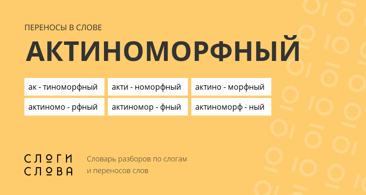 Переносы слова актиноморфный